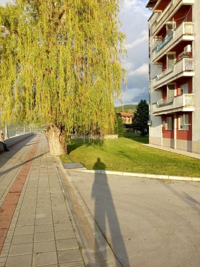 גולובאץ Apartman Bogojevic מראה חיצוני תמונה
